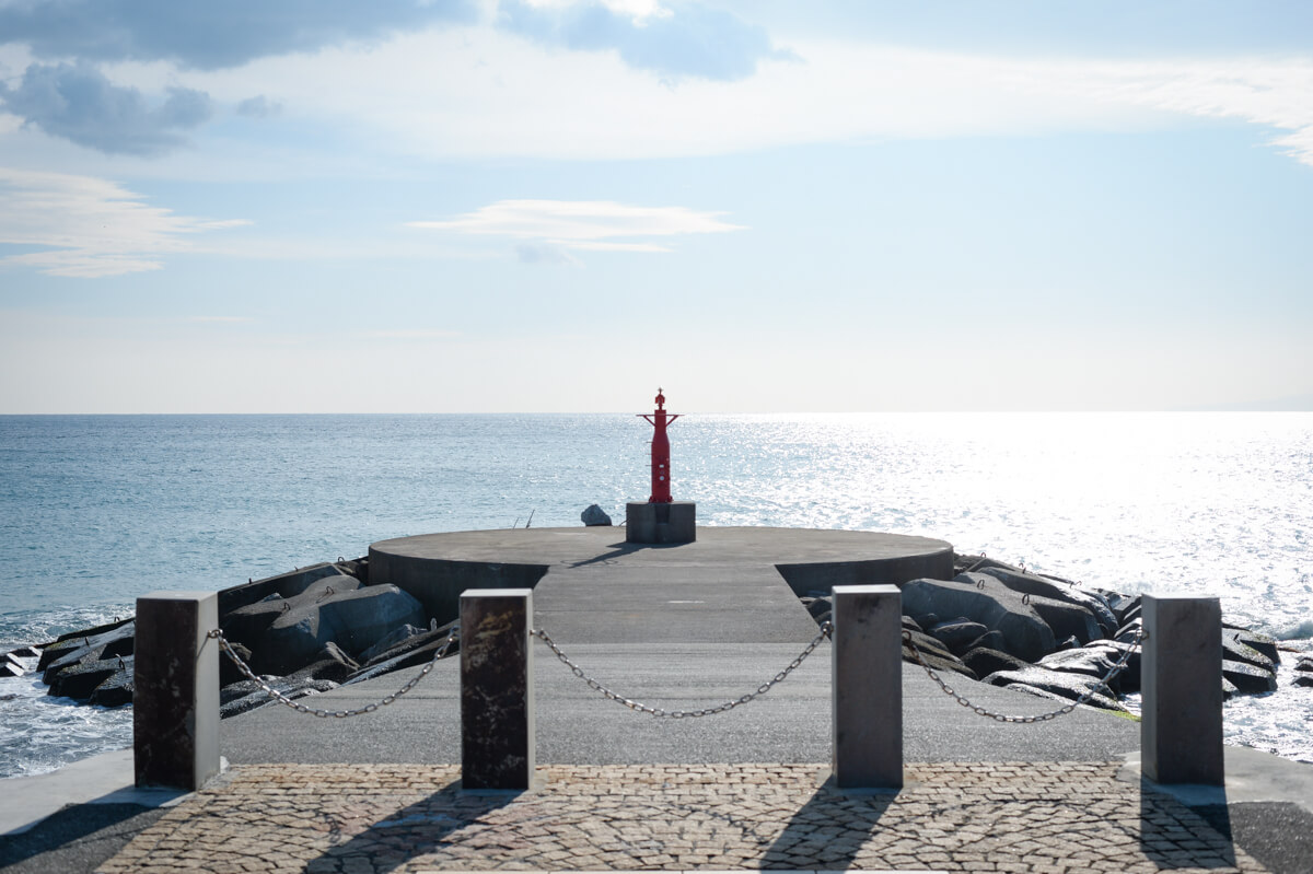 f:id:hachi-log:20210102162227j:plain