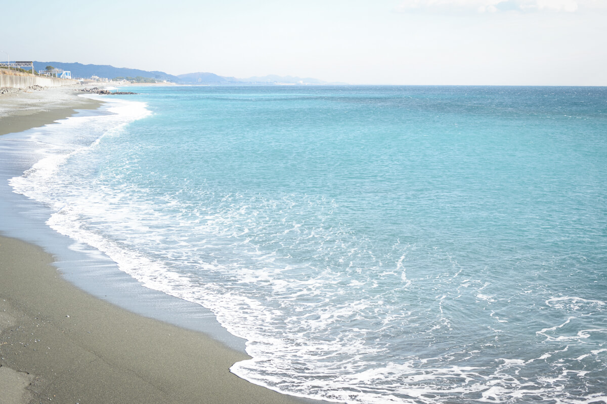 f:id:hachi-log:20210102162231j:plain