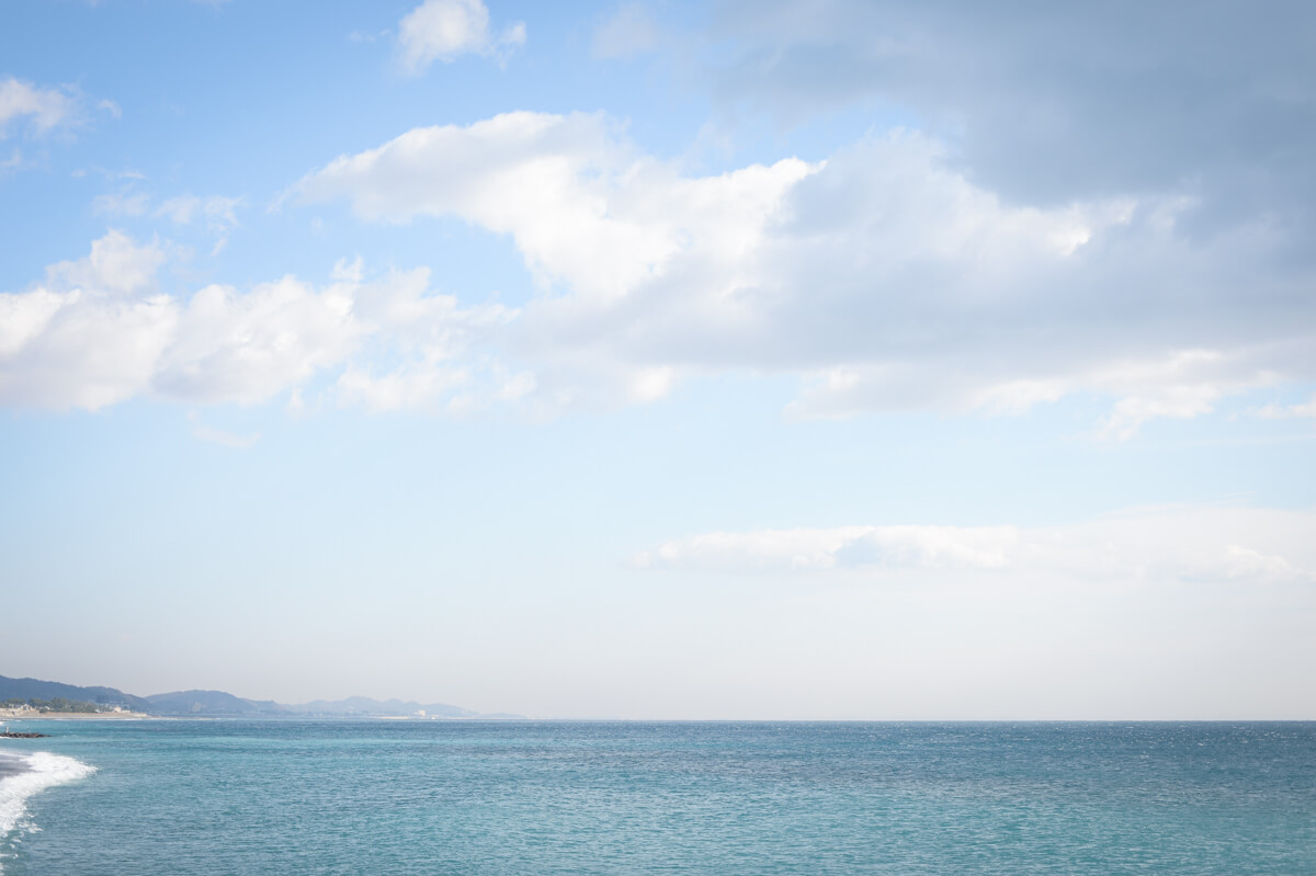 f:id:hachi-log:20210102162235j:plain