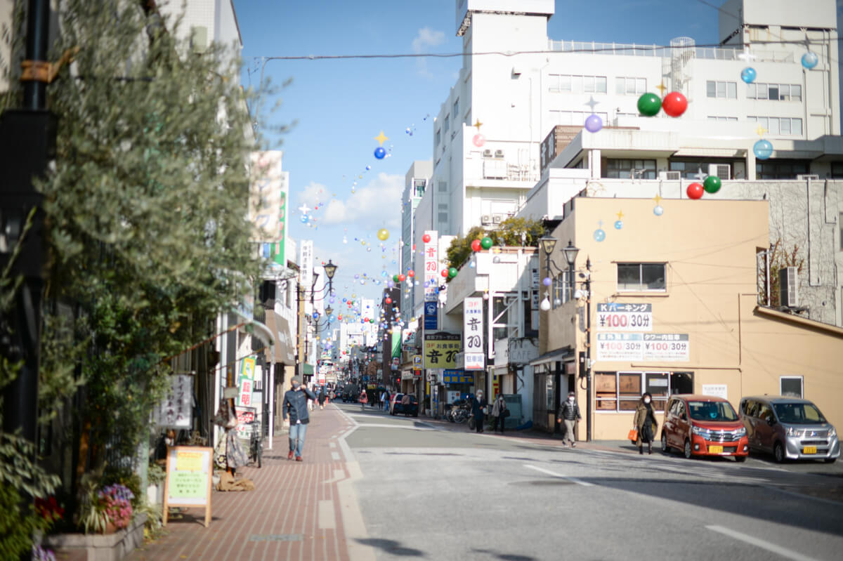 f:id:hachi-log:20210102162252j:plain