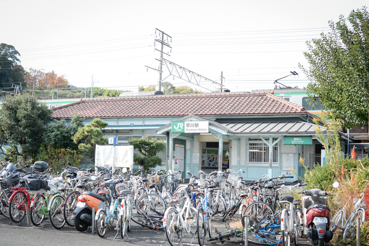 f:id:hachi-log:20210102162316j:plain