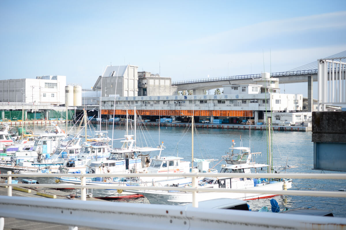 f:id:hachi-log:20210102162320j:plain