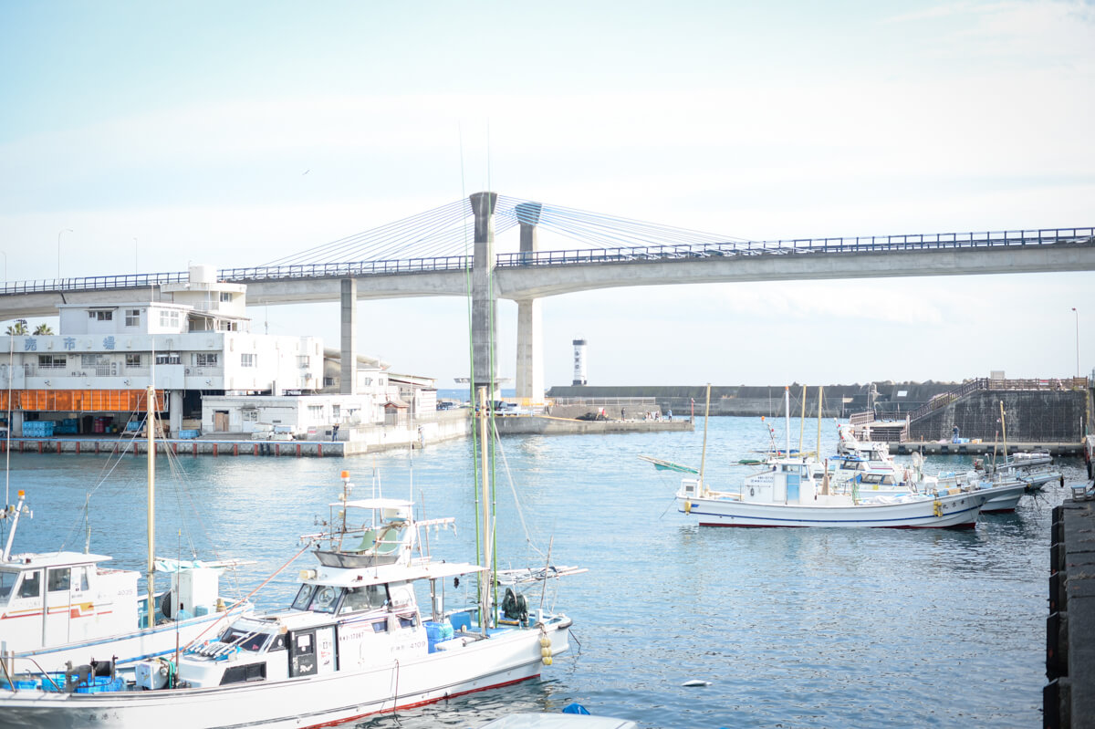 f:id:hachi-log:20210102162325j:plain