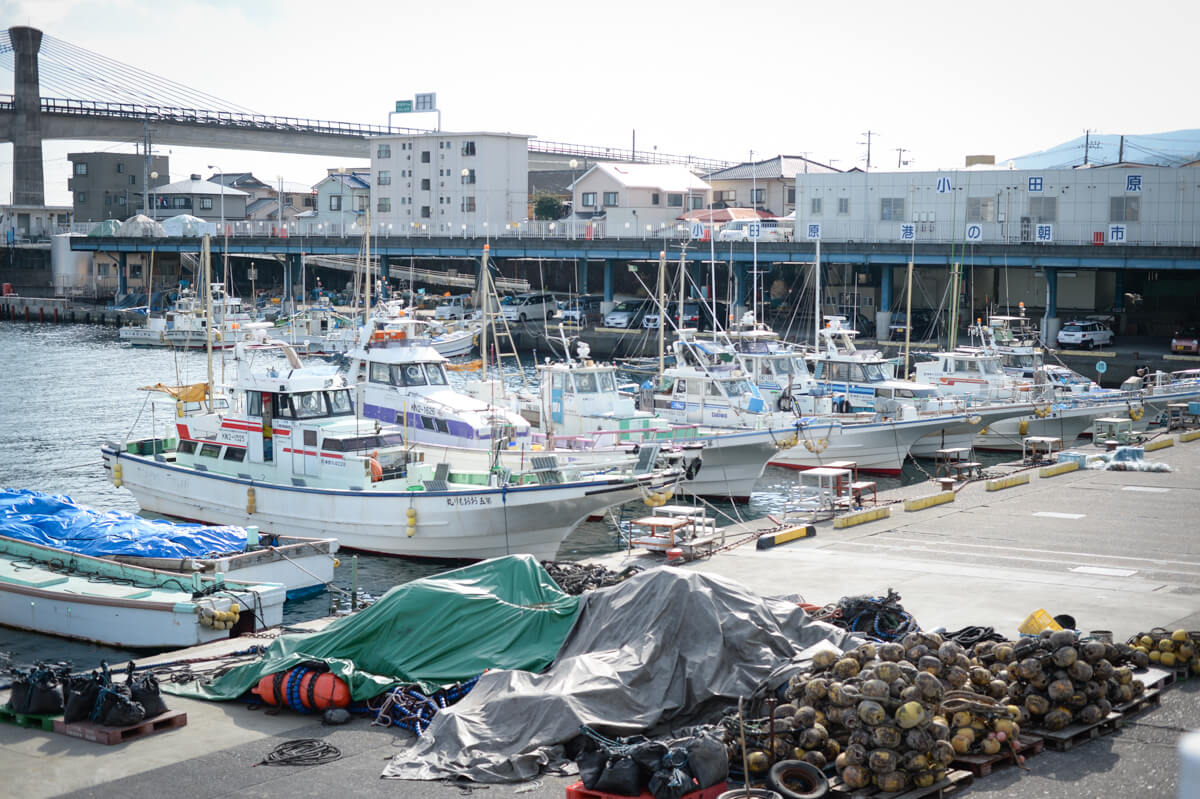 f:id:hachi-log:20210102162333j:plain