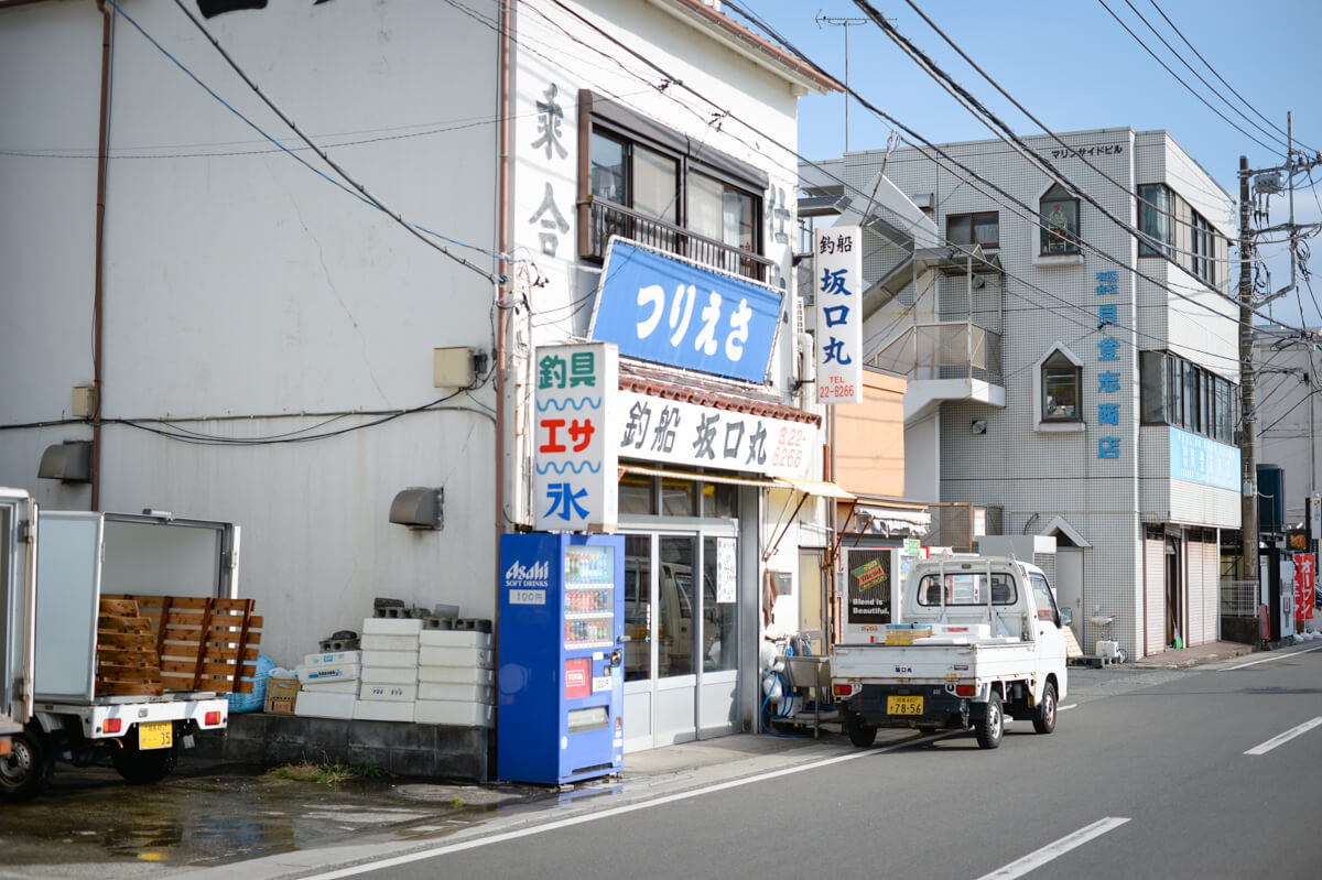 f:id:hachi-log:20210102162337j:plain