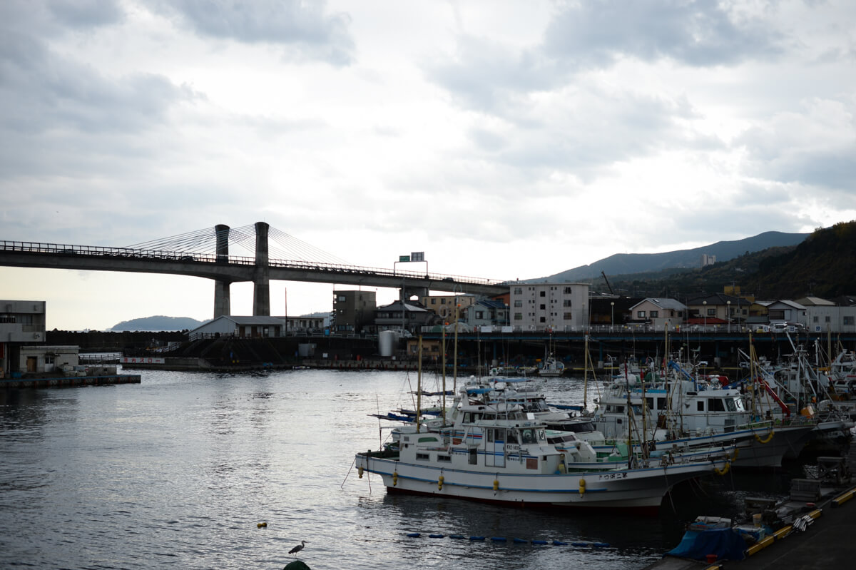 f:id:hachi-log:20210102162404j:plain