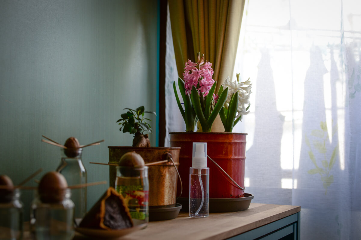 f:id:hachi-log:20210406221853j:plain