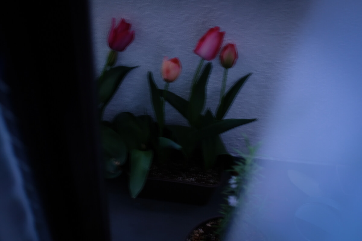 f:id:hachi-log:20210406222046j:plain