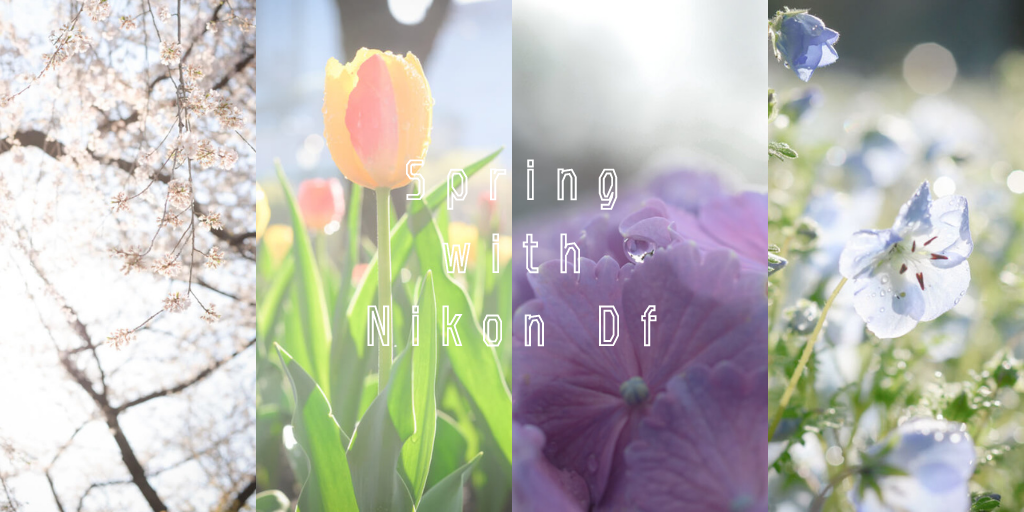 f:id:hachi-log:20210611224037p:plain