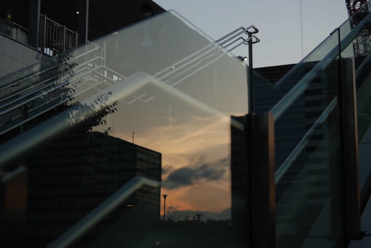 f:id:hachi-log:20210726192434j:plain