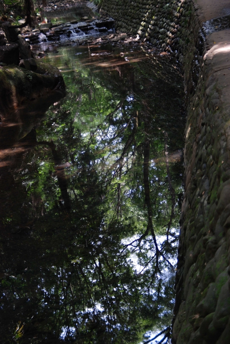 f:id:hachi-log:20210726192606j:plain