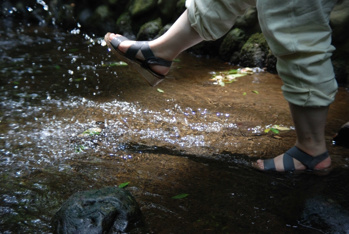 f:id:hachi-log:20210726192732j:plain