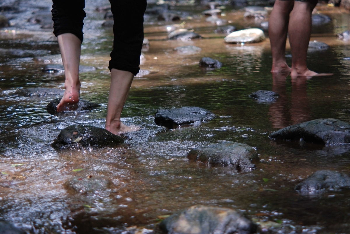 f:id:hachi-log:20210726192743j:plain