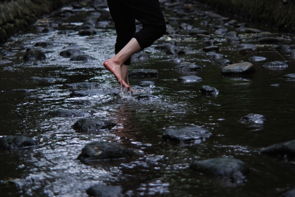 f:id:hachi-log:20210726192754j:plain