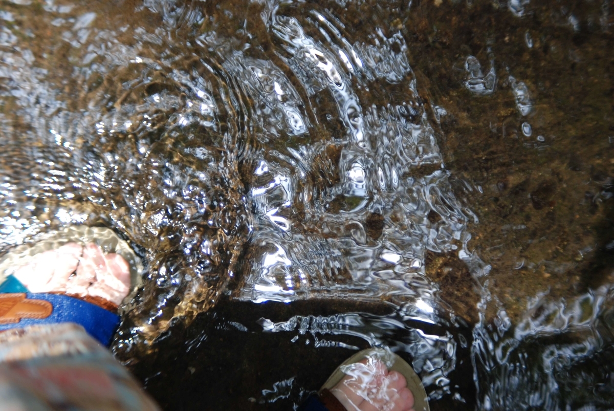 f:id:hachi-log:20210726192805j:plain