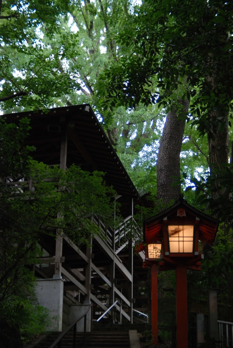 f:id:hachi-log:20210726192900j:plain