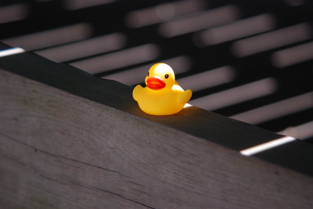 f:id:hachi-log:20210726193024j:plain