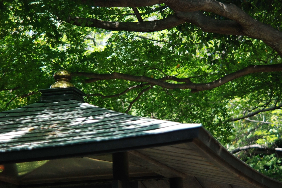 f:id:hachi-log:20210726193054j:plain