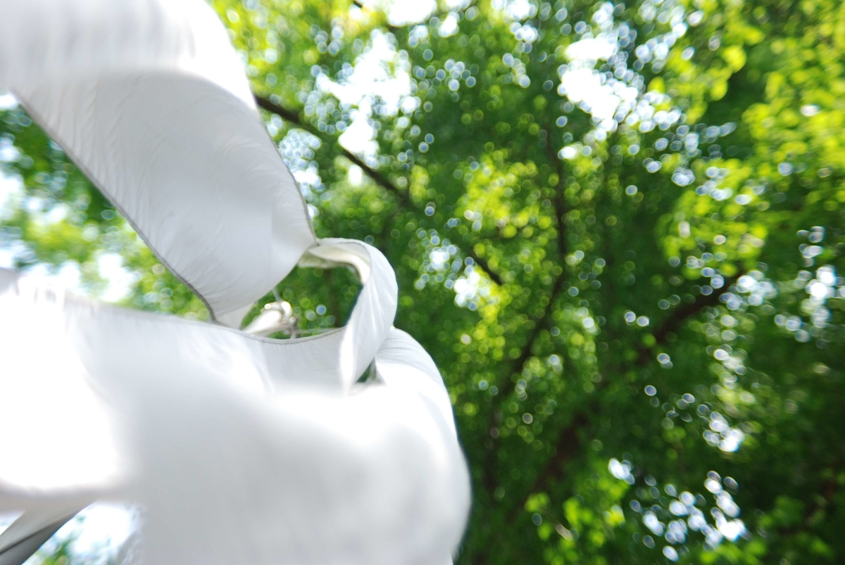 f:id:hachi-log:20210726193128j:plain