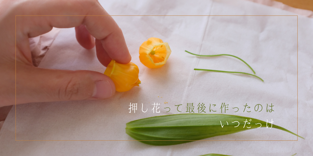 f:id:hachi-log:20210805081540p:plain