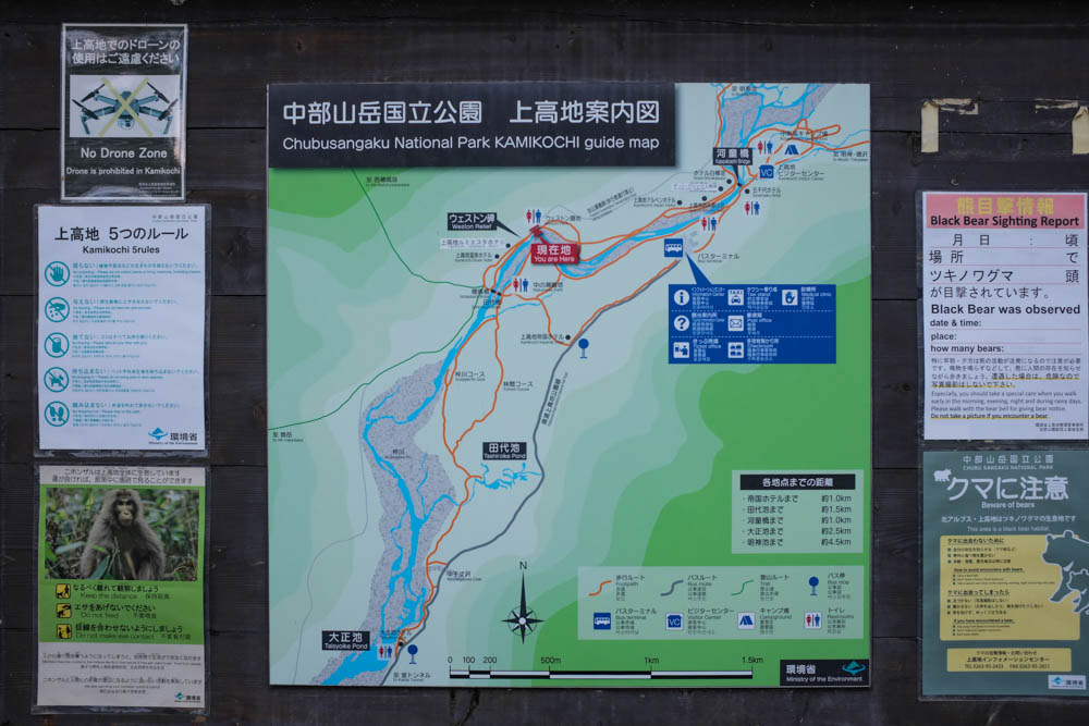 f:id:hachi-log:20211021070415j:plain