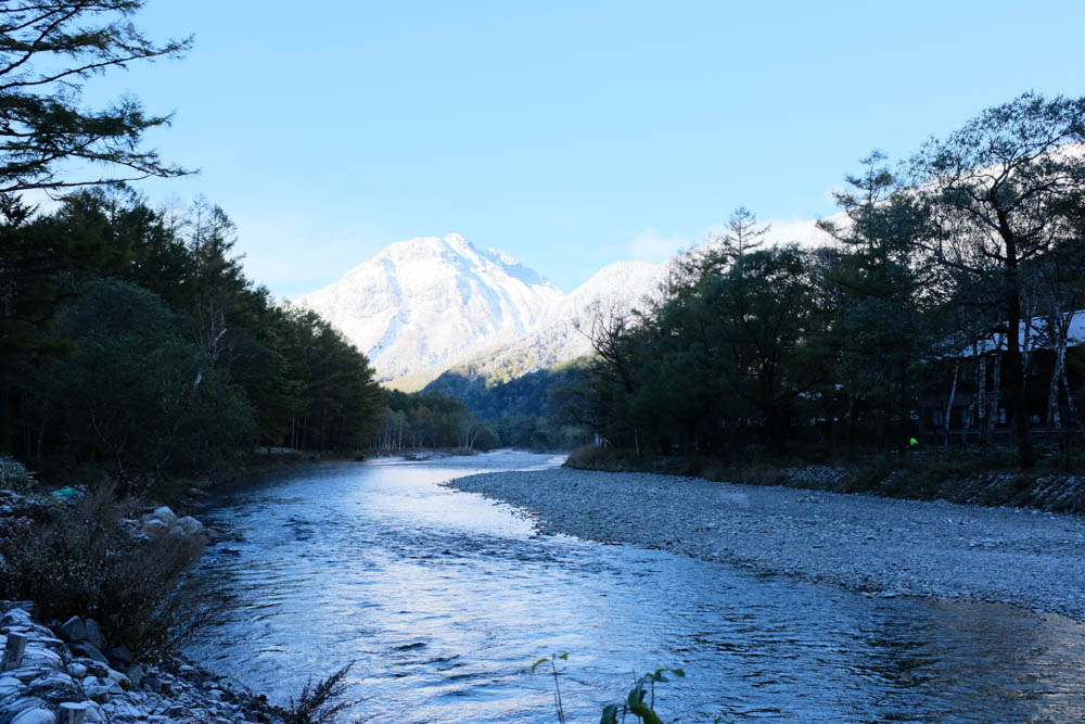 f:id:hachi-log:20211021072705j:plain