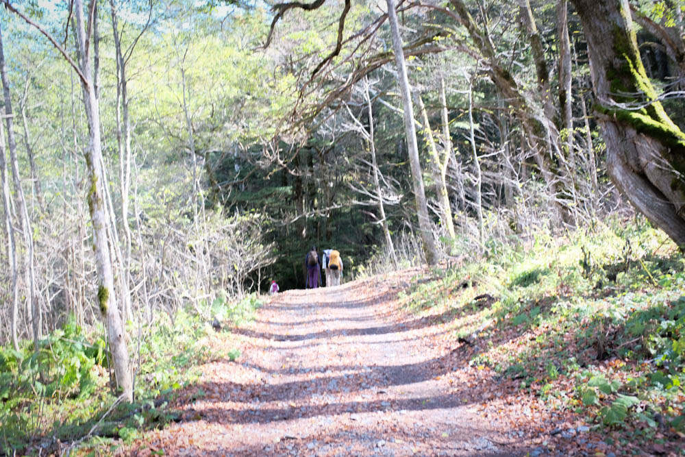 f:id:hachi-log:20211021103521j:plain