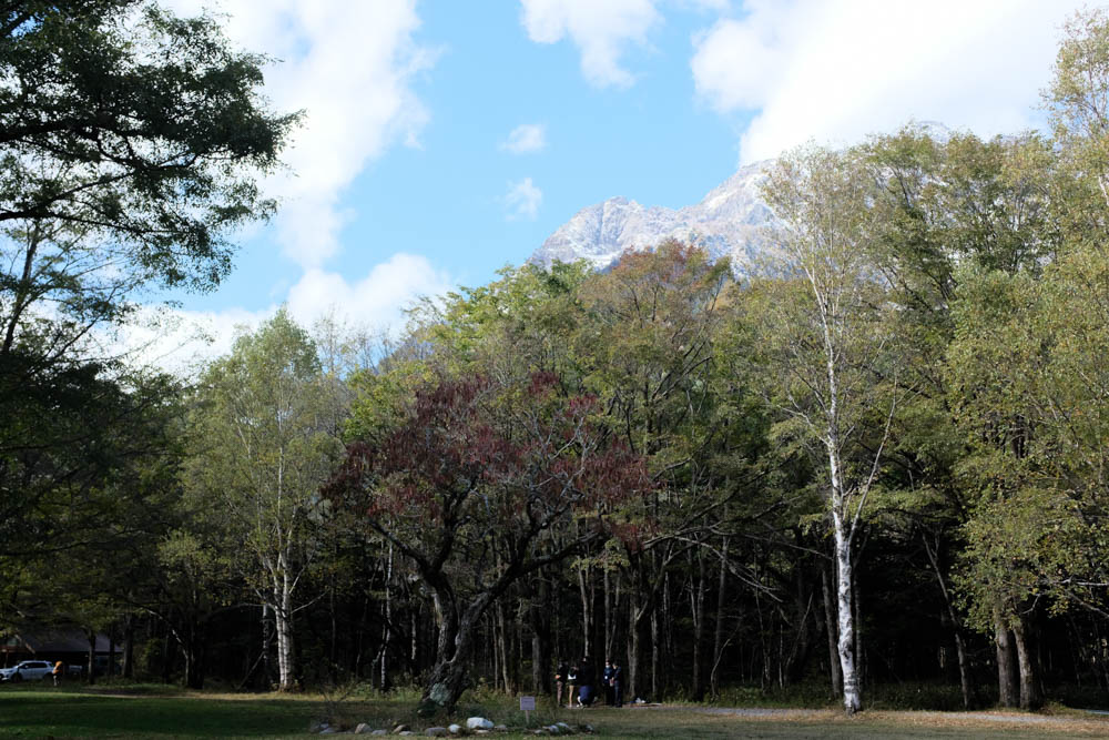 f:id:hachi-log:20211022111058j:plain