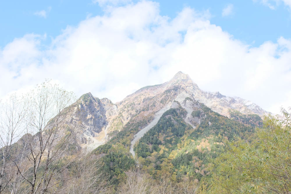 f:id:hachi-log:20211022121708j:plain