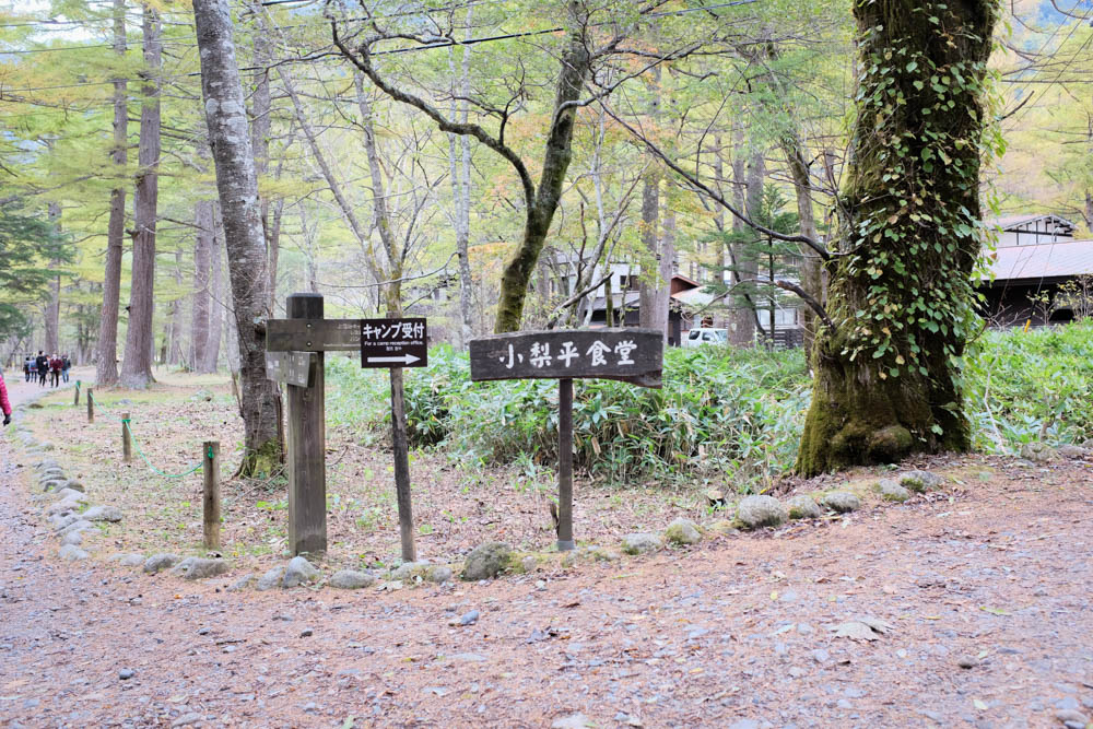 f:id:hachi-log:20211022124742j:plain