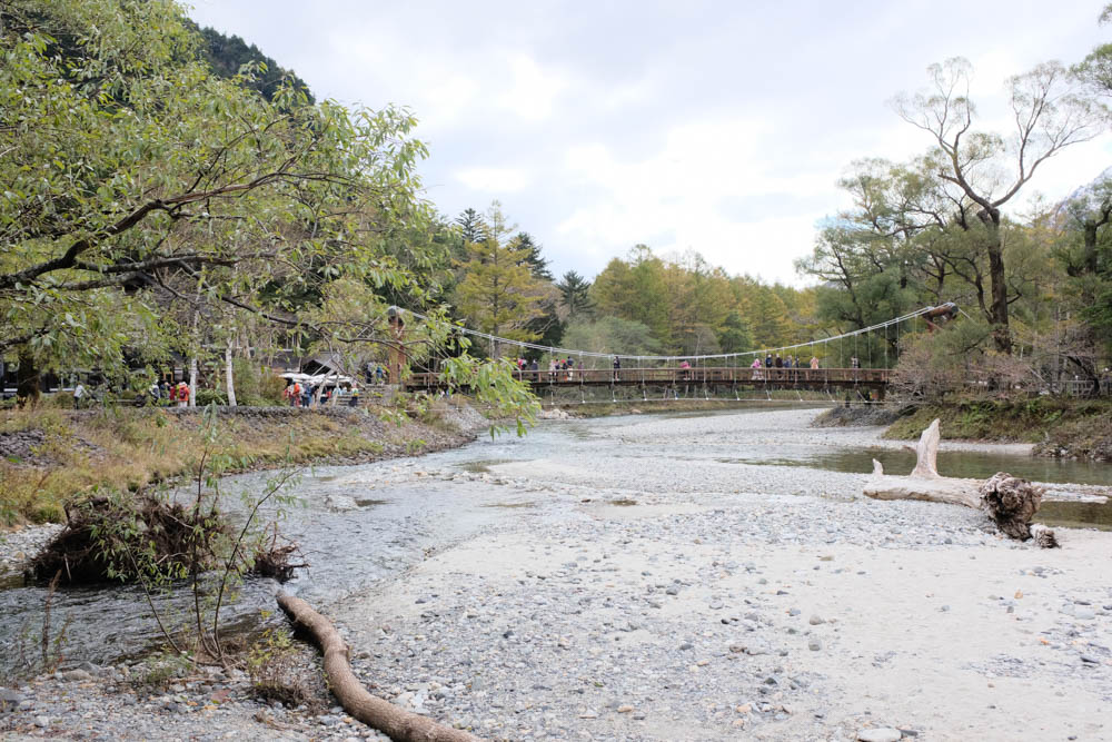 f:id:hachi-log:20211022131028j:plain
