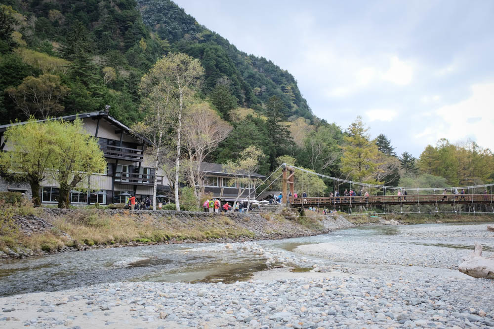 f:id:hachi-log:20211022131053j:plain