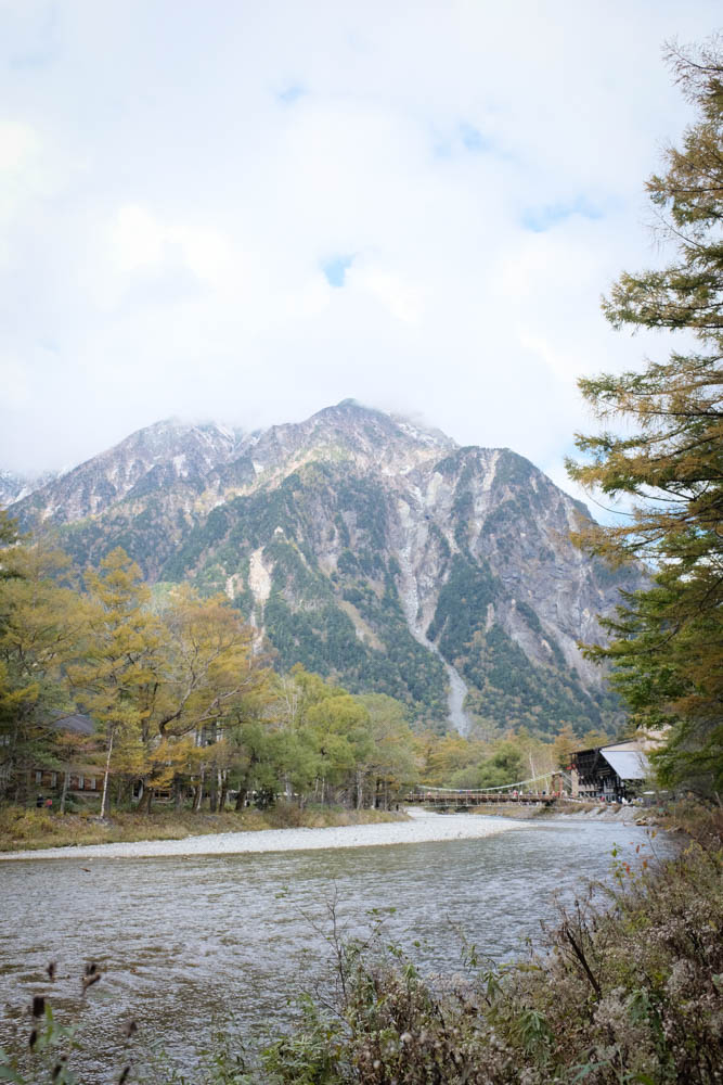 f:id:hachi-log:20211022133755j:plain