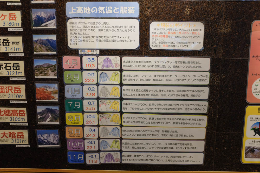 f:id:hachi-log:20211022150935j:plain