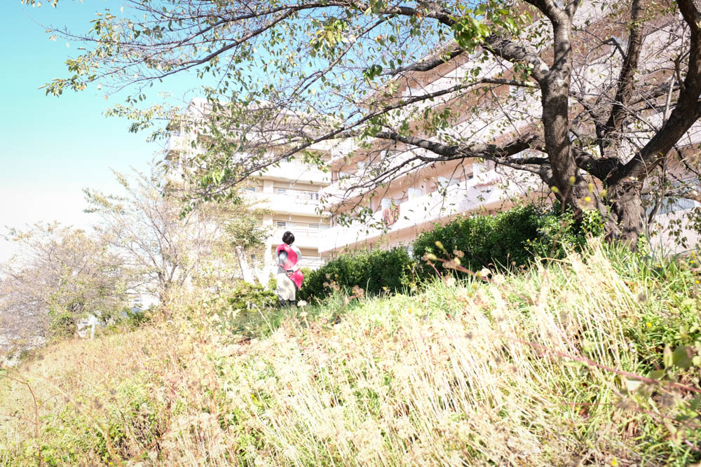 f:id:hachi-log:20211023091049j:plain