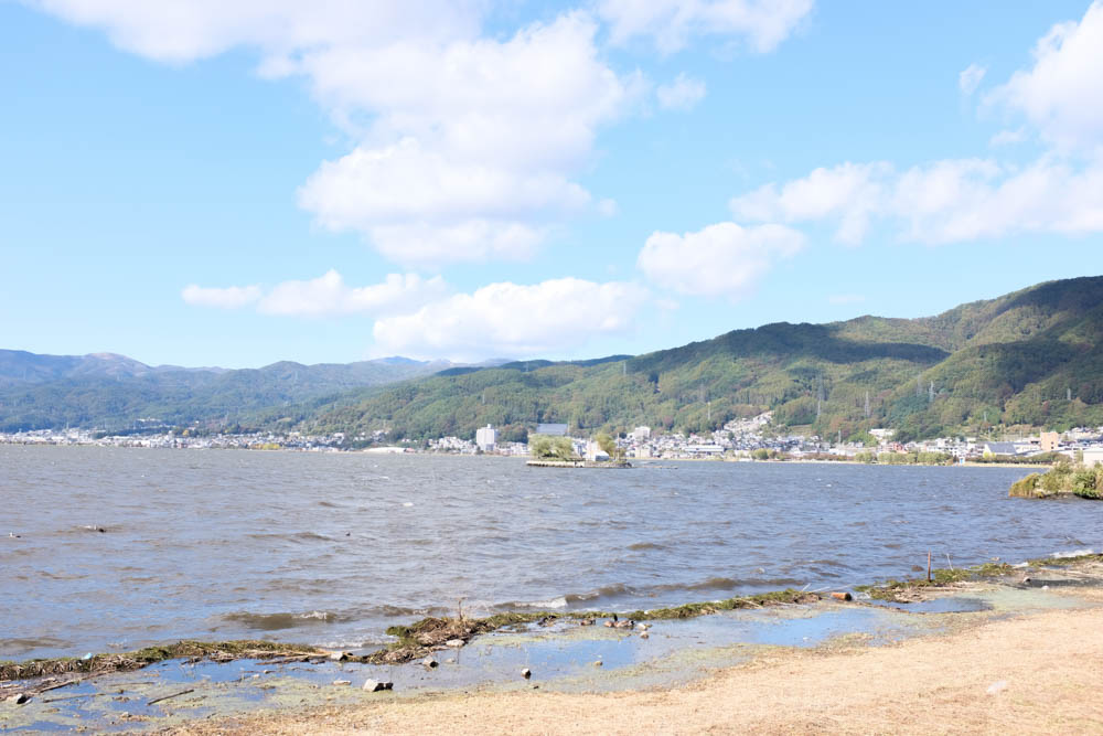 f:id:hachi-log:20211023133221j:plain
