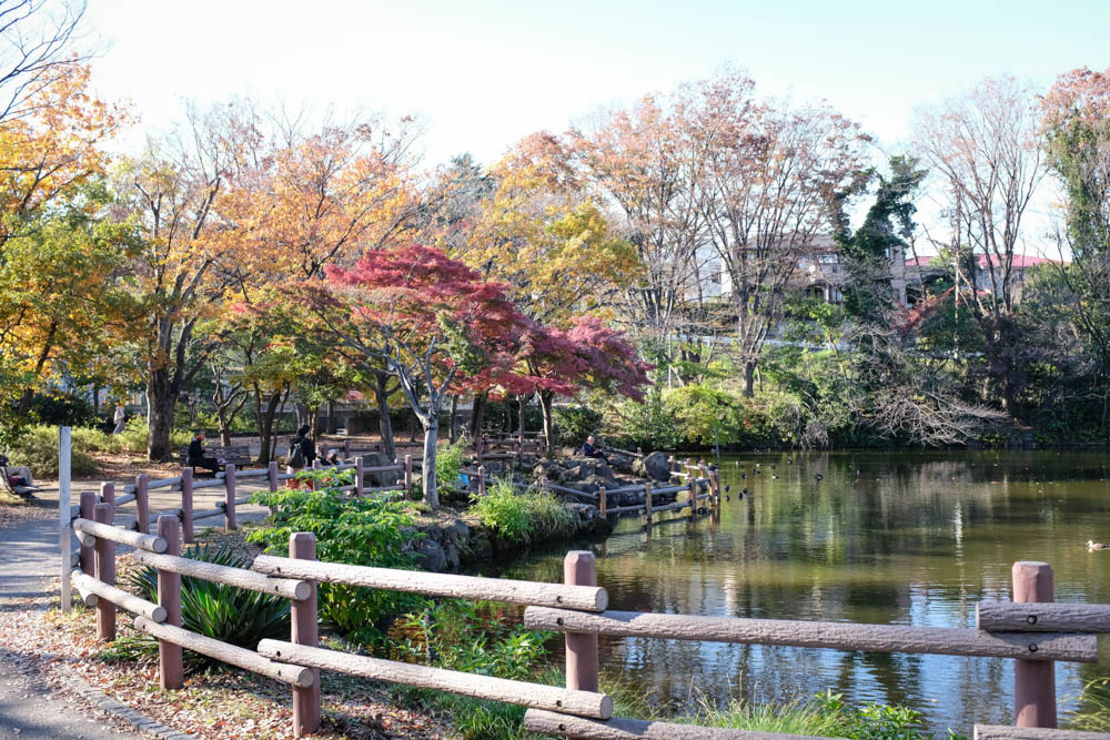 f:id:hachi-log:20211126132718j:plain