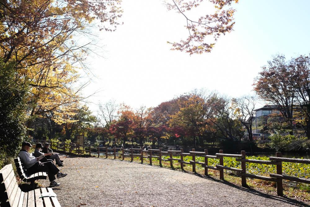 f:id:hachi-log:20211126133115j:plain