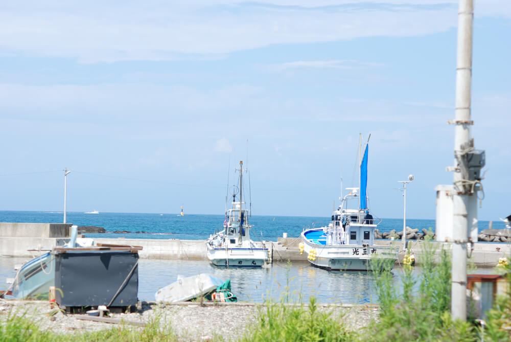 f:id:hachi-log:20211224232301j:plain