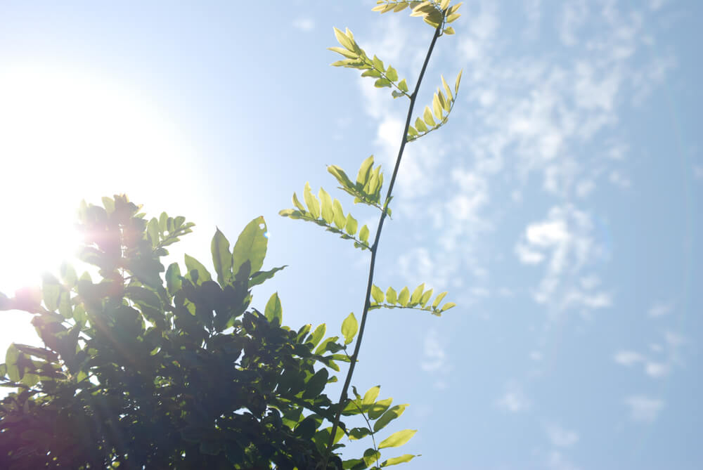 f:id:hachi-log:20211224232303j:plain