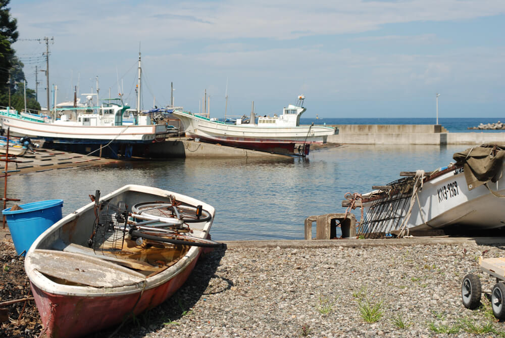 f:id:hachi-log:20211224232317j:plain