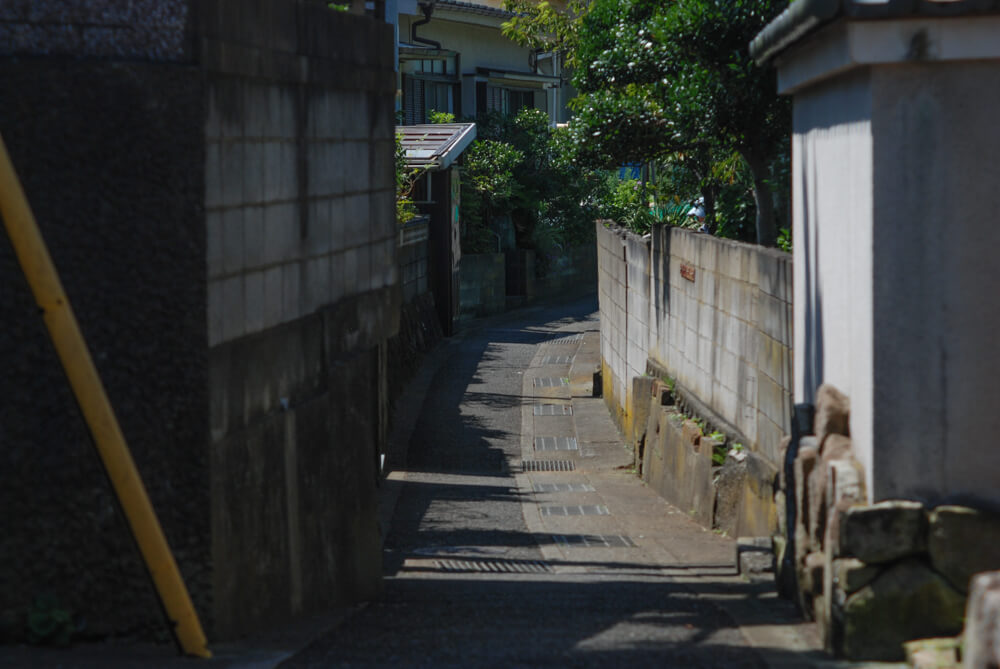 f:id:hachi-log:20211224232331j:plain