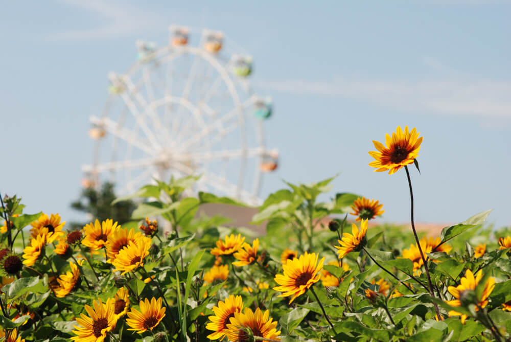 f:id:hachi-log:20211224232344j:plain