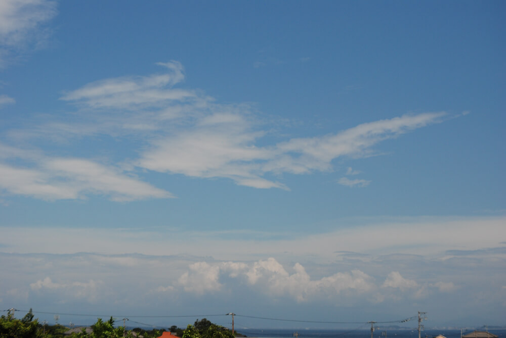 f:id:hachi-log:20211224232358j:plain