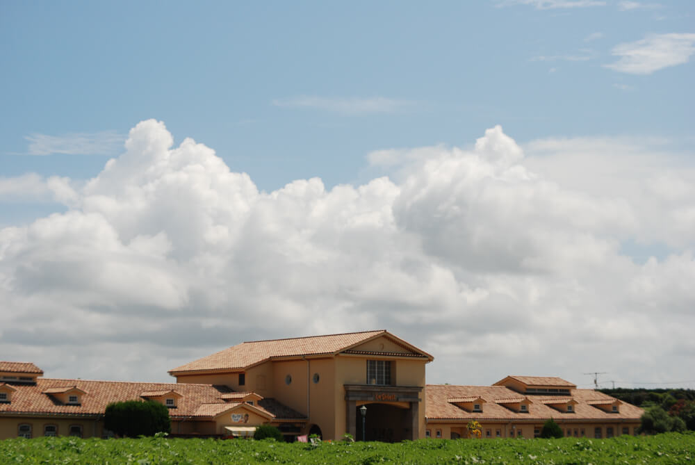 f:id:hachi-log:20211224232401j:plain