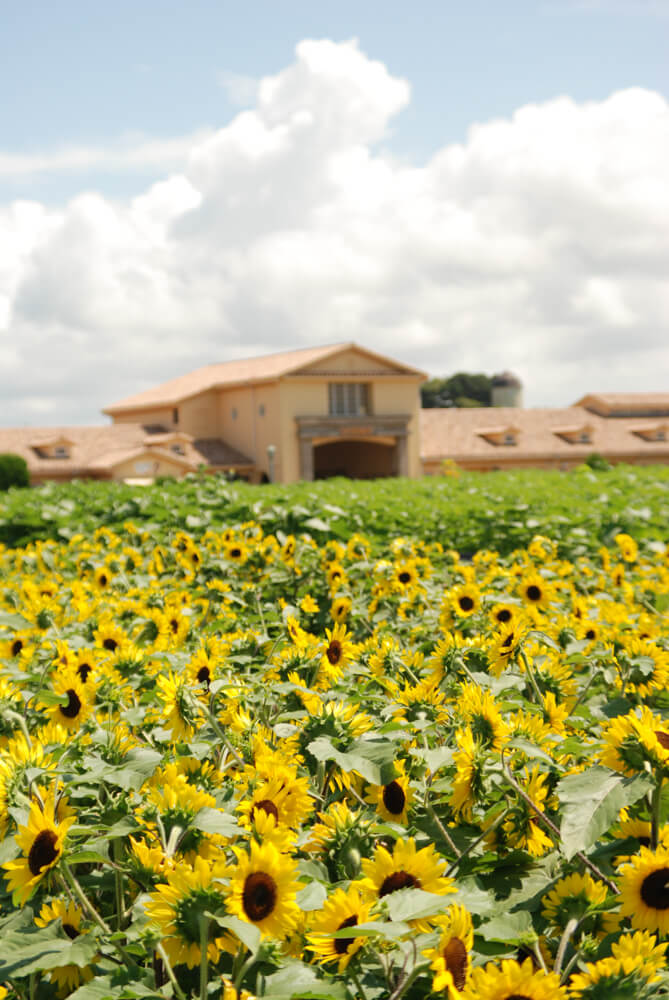 f:id:hachi-log:20211224232406j:plain