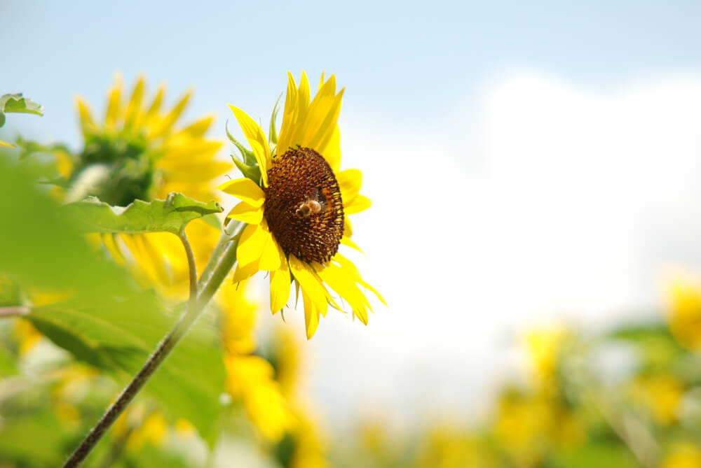 f:id:hachi-log:20211224232412j:plain