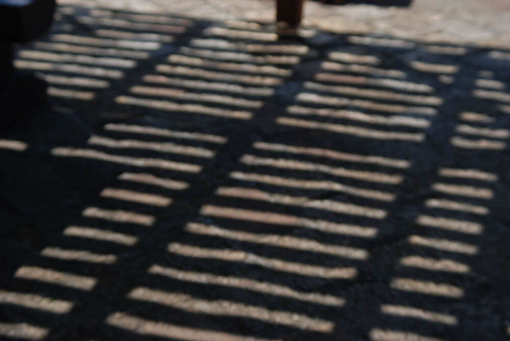 f:id:hachi-log:20211224232419j:plain