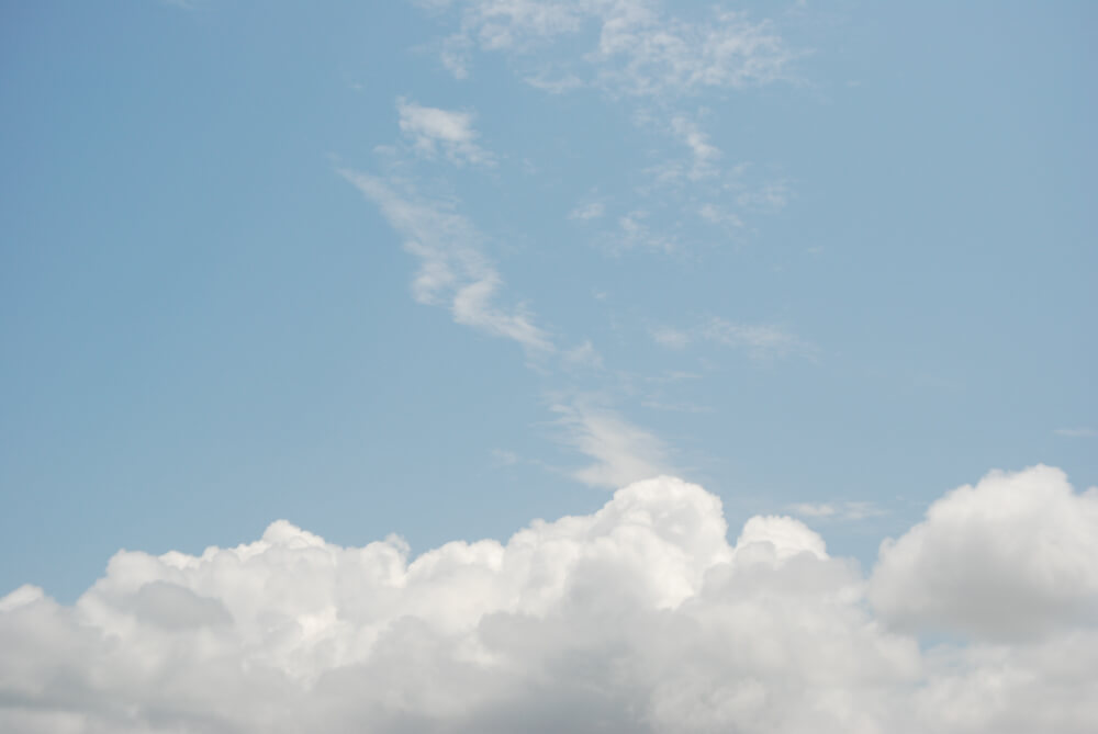 f:id:hachi-log:20211224232441j:plain