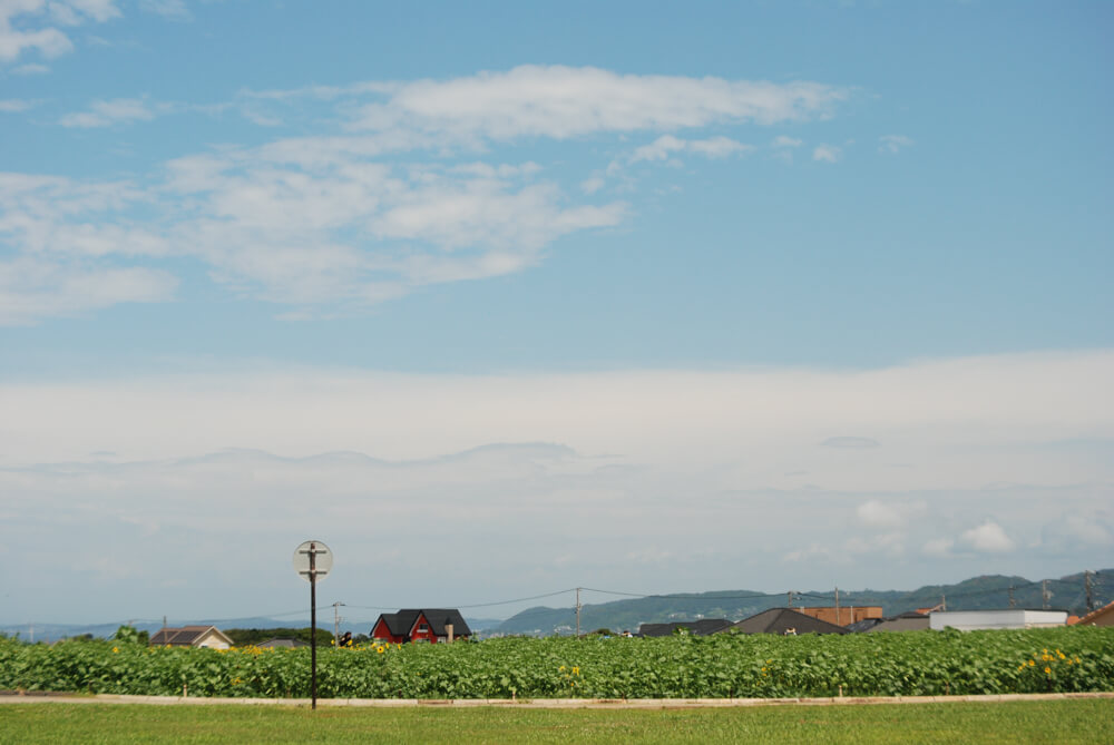 f:id:hachi-log:20211224232447j:plain